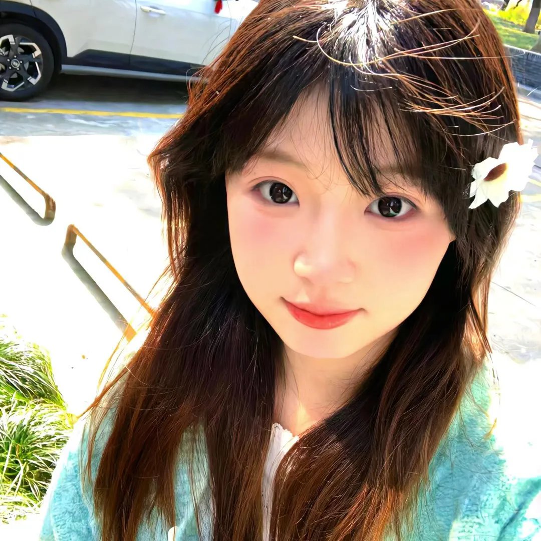鸣鸿传